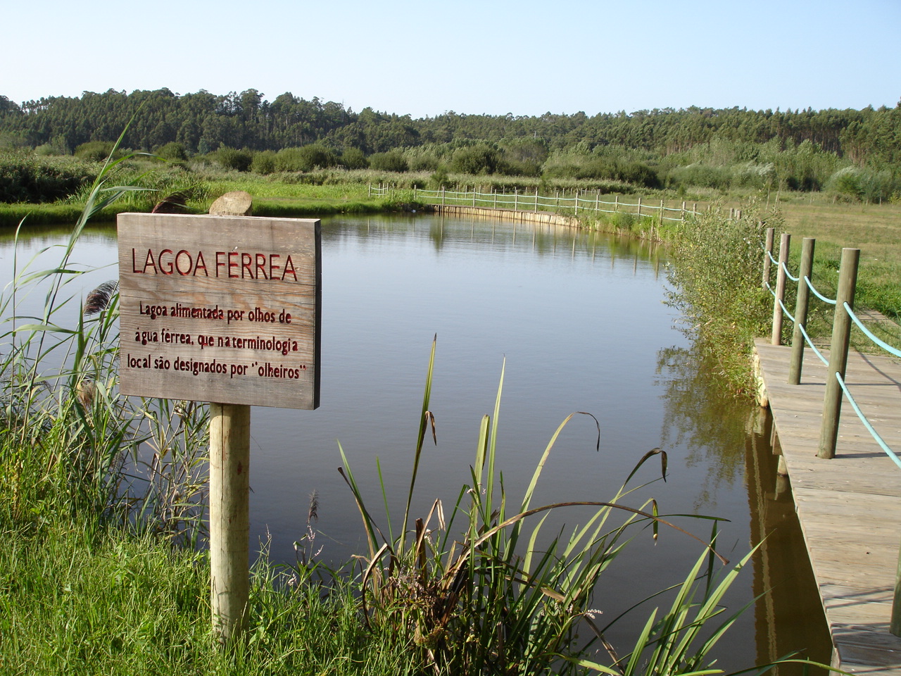 Pateira de Fermentelos